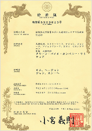 특허 이미지